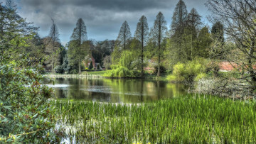 Картинка природа реки озера деревья парк водоём england weston park