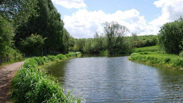 Картинка природа реки озера деревья трава лето река