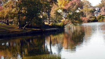 Картинка природа реки озера осень река отражение