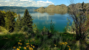 Картинка природа реки озера трава цветы озеро горы