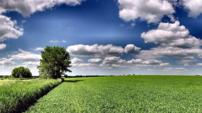 Обои картинки фото природа, поля, облака, трава, поле, лето