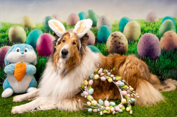 Картинка животные собаки праздник собака пасха венок яйца