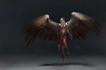 Картинка фэнтези существа девушка крылья голова гарпия