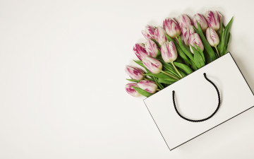обоя цветы, тюльпаны, белый, фон, букет, розовые, упаковка