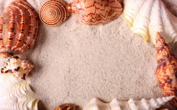 Картинка разное ракушки +кораллы +декоративные+и+spa-камни