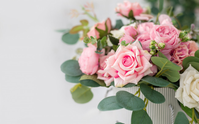 Обои картинки фото цветы, розы, коробка, букет, розовые, красивые