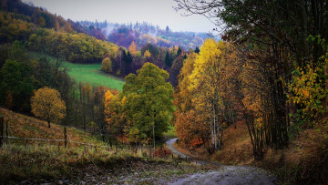 Картинка природа дороги осень