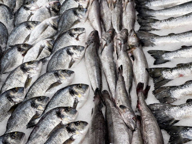 Обои картинки фото еда, рыба,  морепродукты,  суши,  роллы, свежая