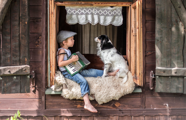 Обои картинки фото разное, дети, мальчик, кепка, гармошка, собака, окно