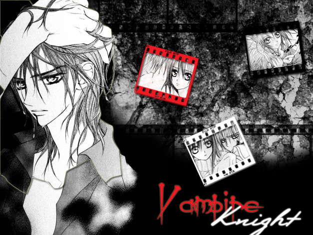 Обои картинки фото аниме, vampire, knight