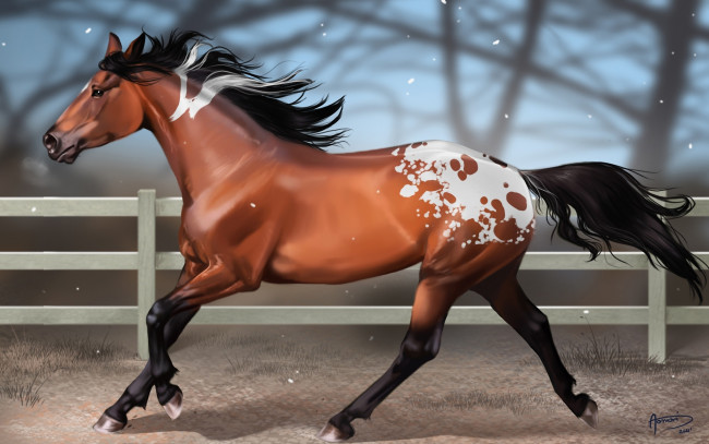 Обои картинки фото рисованные, животные, лошади, лошадь, пятна, забор, размытость, конь
