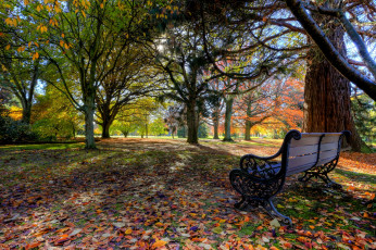 Картинка pollard park blenheim new zealand природа парк бленхейм скамейка деревья новая зеландия листья осень