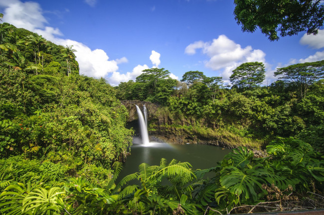 Обои картинки фото rainbow, falls, hilo, hawaii, природа, водопады, гавайи, тропики, лес