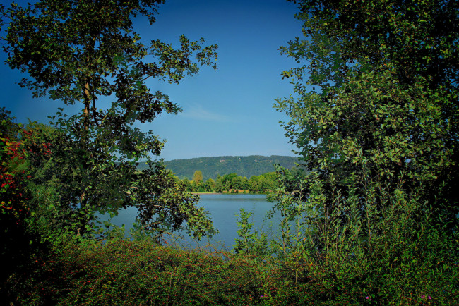 Обои картинки фото люксембург, эхтернах, природа, реки, озера, деревья, берег, река
