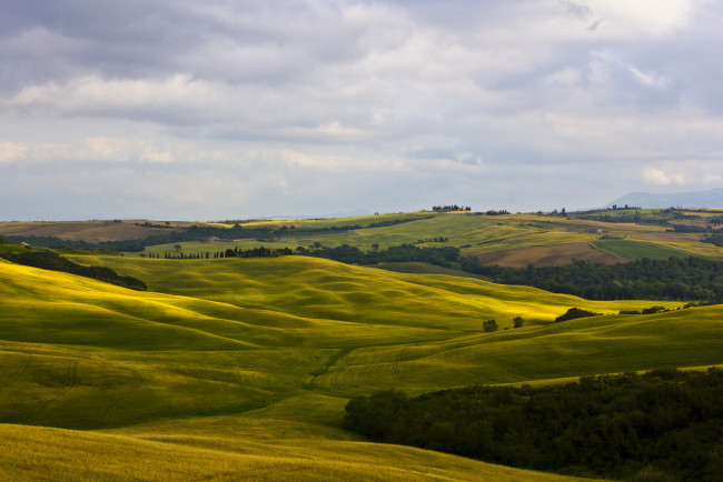 Обои картинки фото montalcino, tuscany, италия, природа, поля