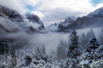 Картинка природа горы йосемити калифорния сша usa деревья зима лес снег yosemite national park туман облака