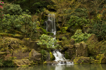 Картинка природа водопады водопад река камни скалы лес