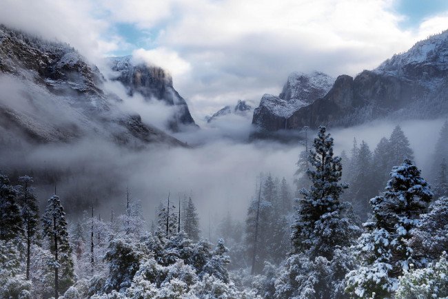 Обои картинки фото природа, горы, йосемити, калифорния, сша, usa, деревья, зима, лес, снег, yosemite, national, park, туман, облака