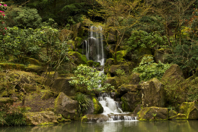 Обои картинки фото природа, водопады, водопад, река, камни, скалы, лес