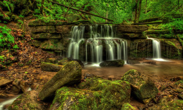 Картинка природа водопады поток деревья лес камни