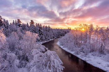 Картинка природа реки озера деревья лес река пейзаж зима