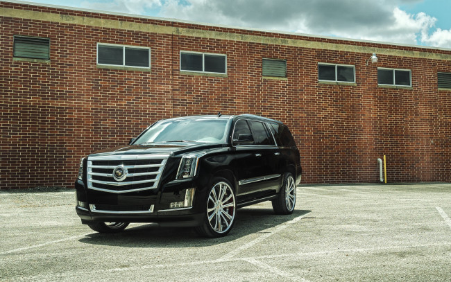 Обои картинки фото cadillac escalade, автомобили, cadillac, кадиллак, escalade, джип, черный, эскалэйд