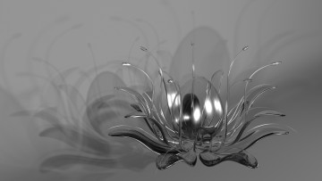 Картинка 3д+графика абстракция+ abstract цветок фон лепестки