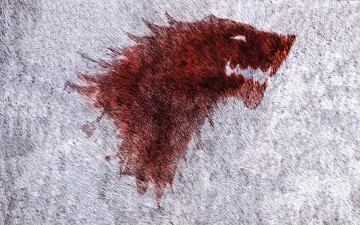 Картинка рисованное кино +мультфильмы волк шкура кровь старк