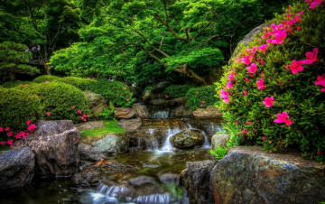 обоя природа, парк, цветущие, кусты, водопад