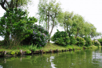 Картинка природа реки озера деревья река берег