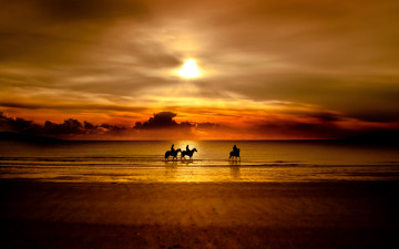 обоя природа, восходы, закаты, горизонт, лошади, песок, кони, побережье, море, закат, всадники