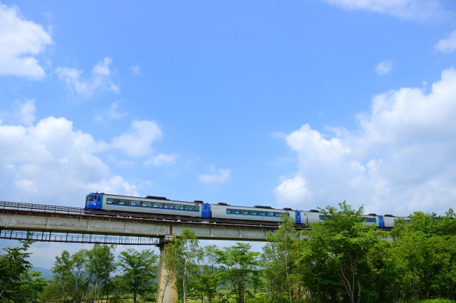 Обои картинки фото техника, поезда, скорость, мост, поезд