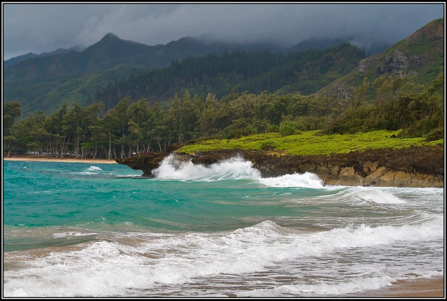 Обои картинки фото природа, побережье, берег, лес, волны