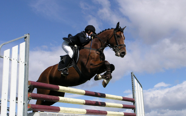 Обои картинки фото спорт, конный, препятствие, лошадь, наездник, прыжок