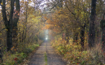 Картинка природа дороги осень дорога