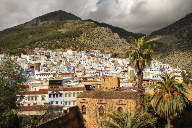 Обои картинки фото шефшауен  марокко, города, - панорамы, пальмы, горы, дома, марокко, шефшауен