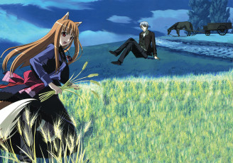 Картинка аниме spice+and+wolf девушка парень horo craft lawrence spice and wolf поле