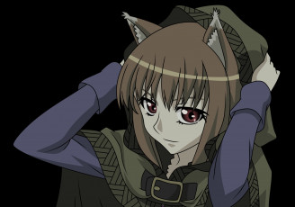 обоя аниме, spice and wolf, spice, and, wolf, девушка, арт, horo