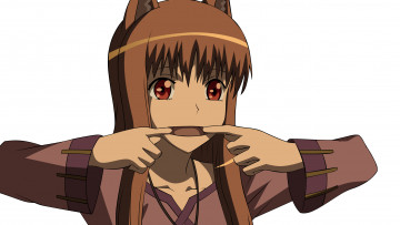 Картинка аниме spice+and+wolf девушка spice and wolf арт horo