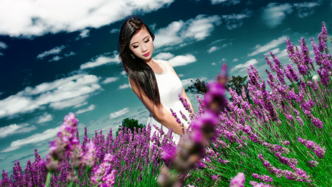 Обои картинки фото девушки, -unsort , азиатки, девушка, луг, лето, цветы, облака, небо, лаванда