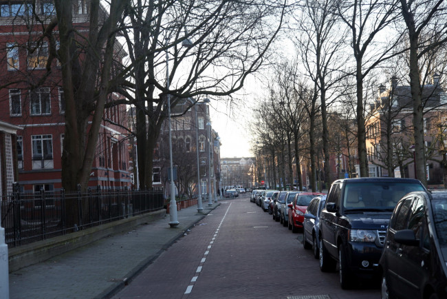 Обои картинки фото города, амстердам , нидерланды, улица, деревья, машины