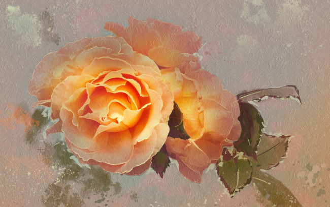 Обои картинки фото рисованное, цветы, роза, цветок, текстура