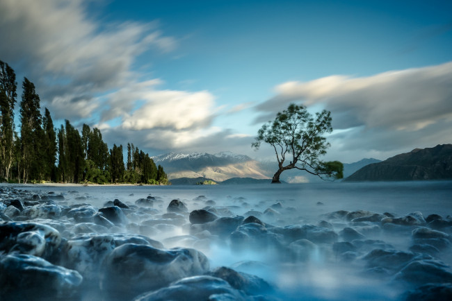 Обои картинки фото природа, реки, озера, туман, дерево, река