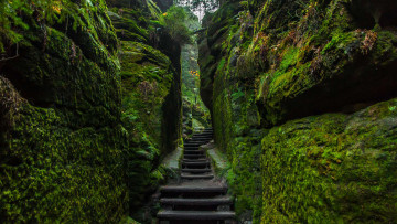 Картинка природа другое ступени национальный парк саксонская швейцария германия камни мох