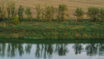 Картинка природа реки озера деревья вода отражение