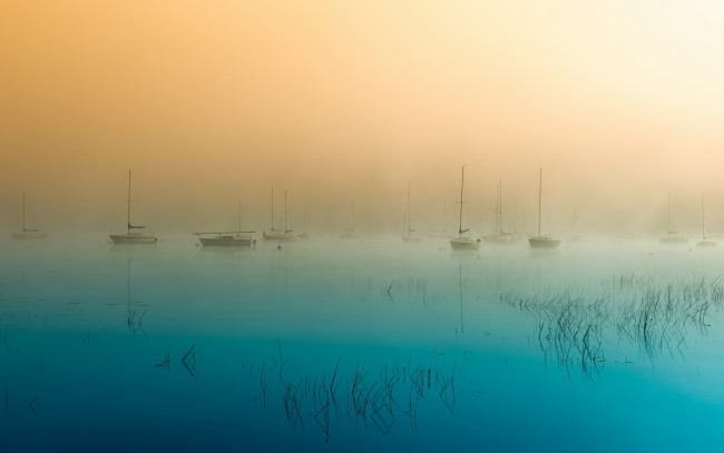 Обои картинки фото корабли, Яхты, яхты, суда, утро, туман, рассвет, озеро