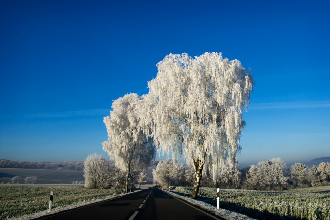 Обои картинки фото природа, дороги, дорога, зима