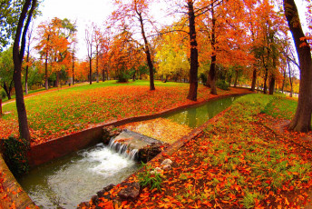 Картинка природа парк ручей листопад осень