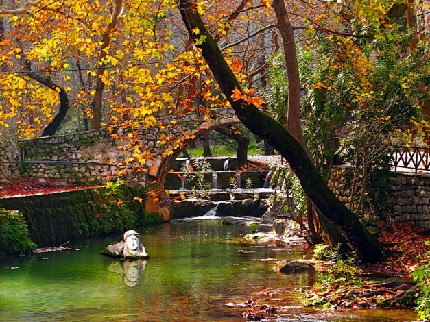 Обои картинки фото природа, парк, пруд, листопад, осень