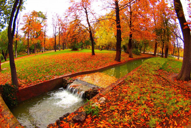 Обои картинки фото природа, парк, ручей, листопад, осень